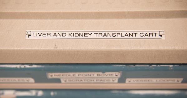 新的器官捐献技术挑战了生与死之间的界限